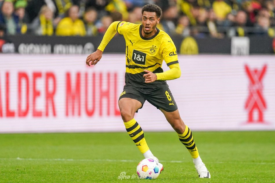 业生涯的角 业生涯的角